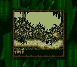 Donkey Kong Land Screenshot 1